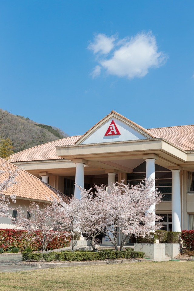 桜が咲く校舎の風景