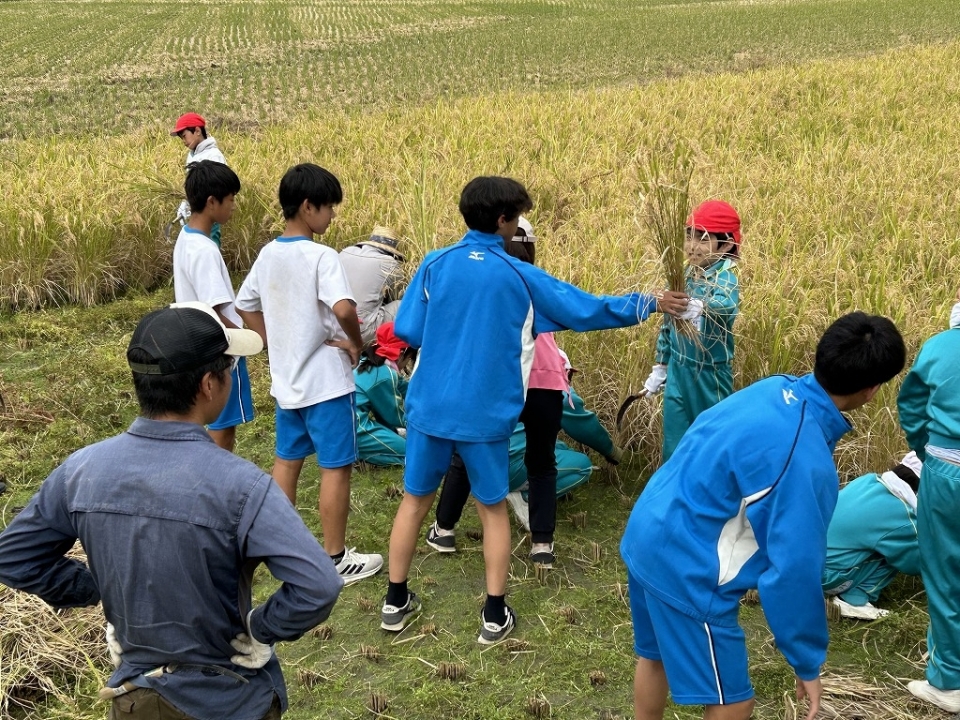 中２朝日塾小4年生と稲刈り・交流行事