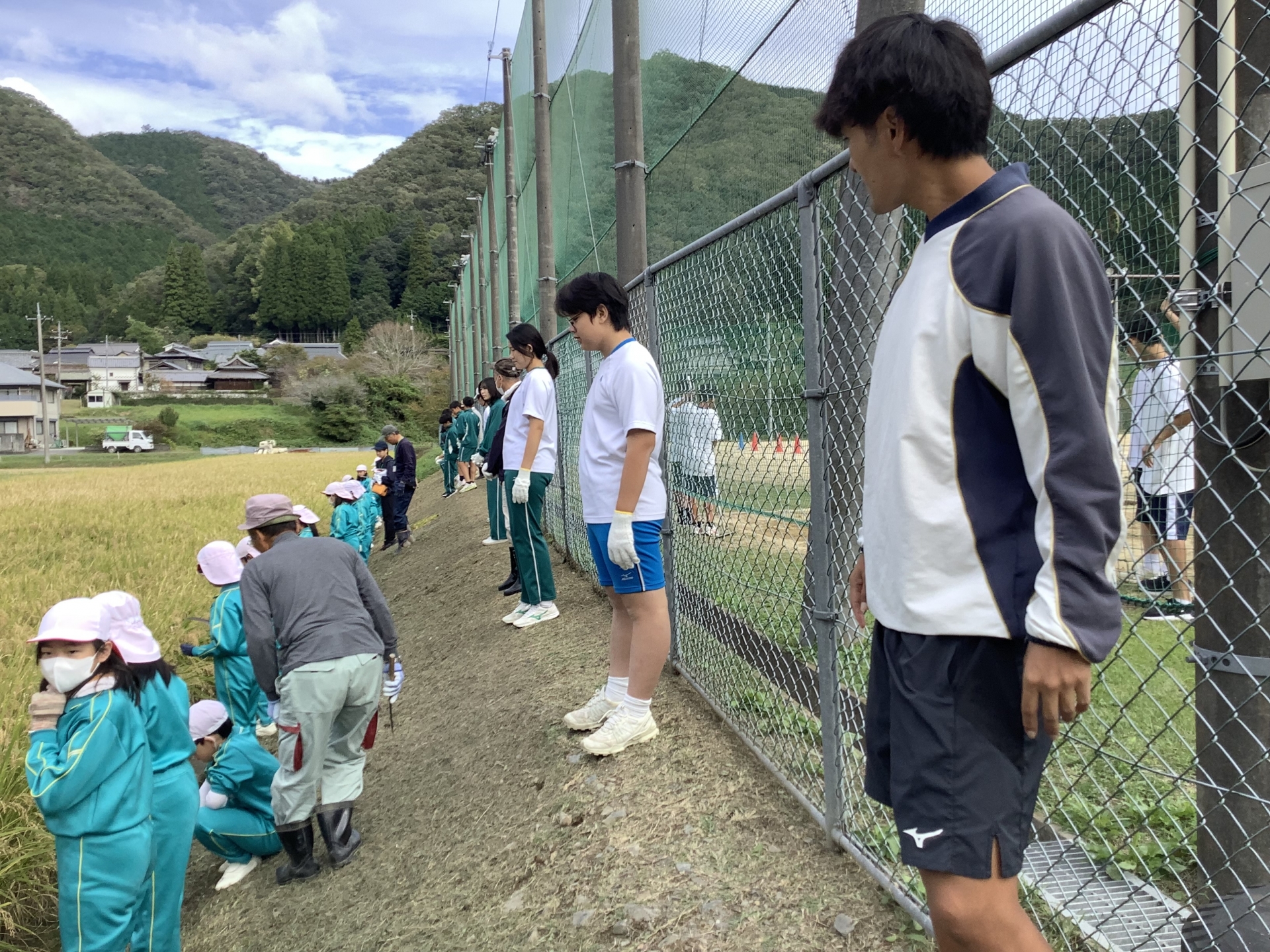 A組稲刈り前