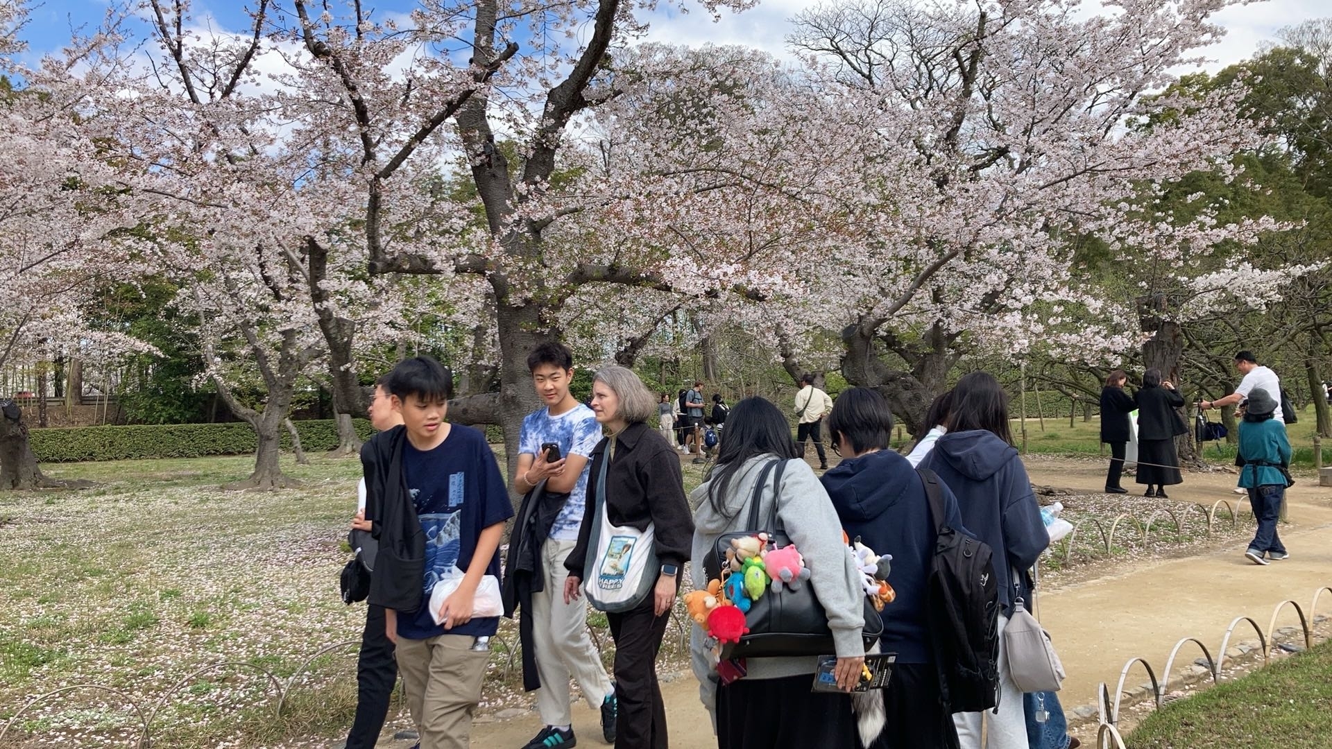 669d995664aa702680c271efbdf80ab4