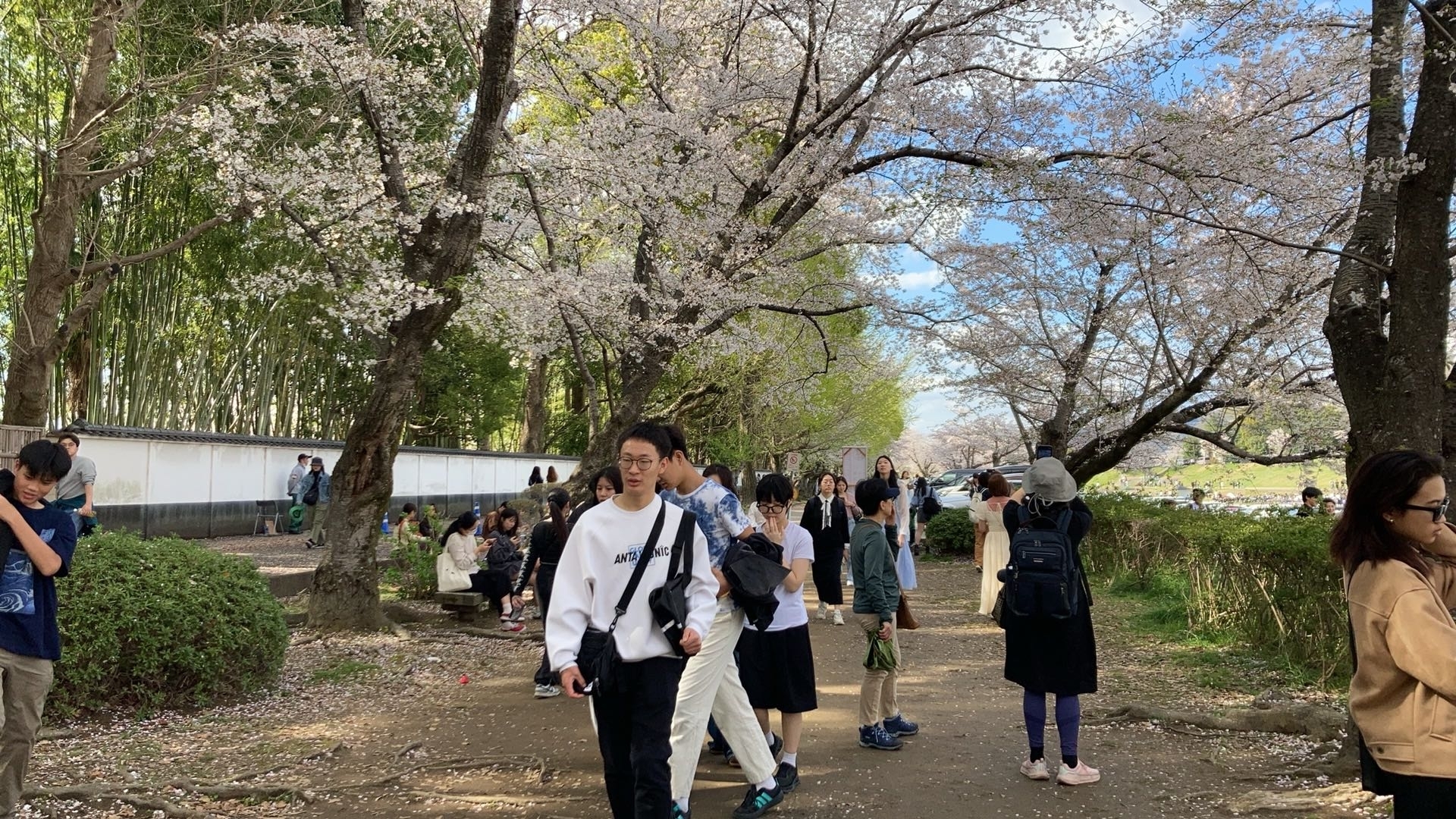 be12652c933a33b24ad1005af2338869