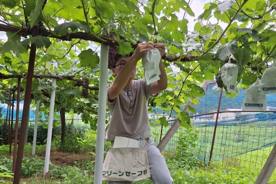 農業・自然・地域の輪を広げる”くぼ農園”をお手伝い