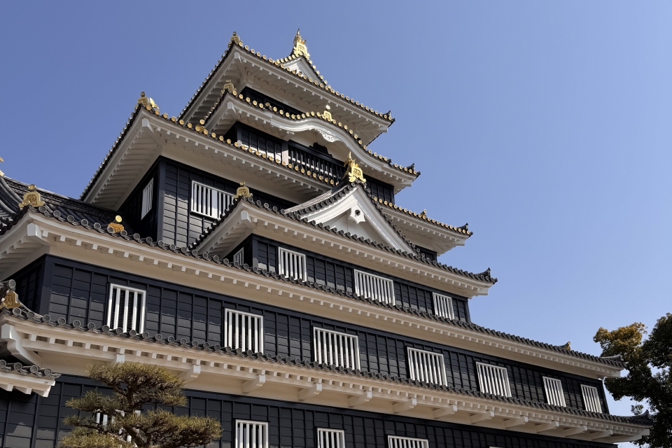 難病支援プロジェクト「Sakuraの会in春の岡山城」2日目も盛りだくさん